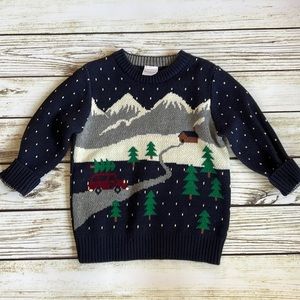 Hanna Andersson sweater